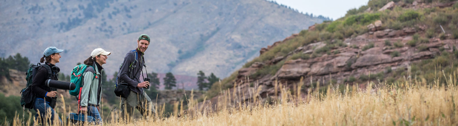 Researchers out in the field and rocky mountains studying native birds