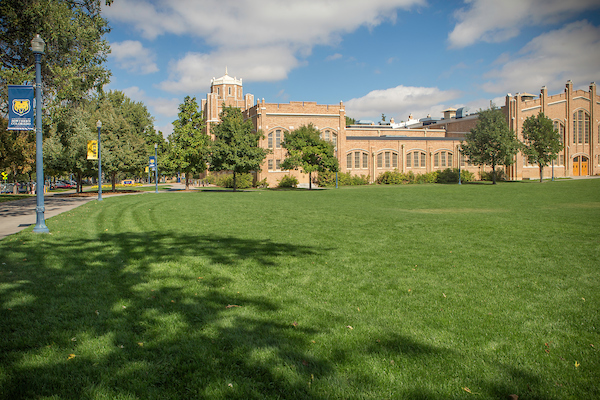 Outdoor space behind Gunter Hall