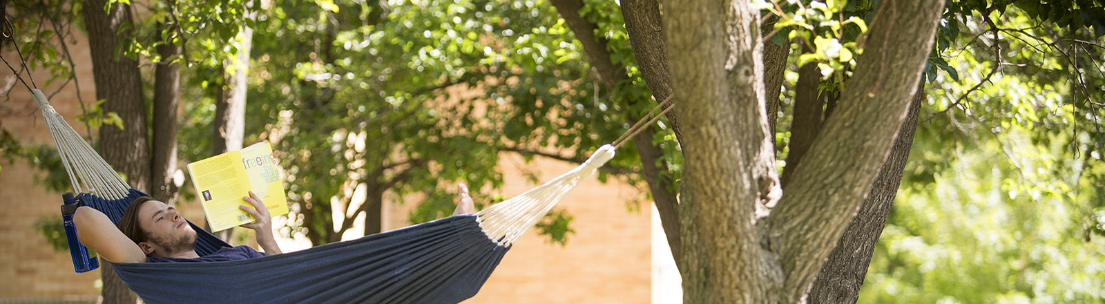 Hanging in a Hammock