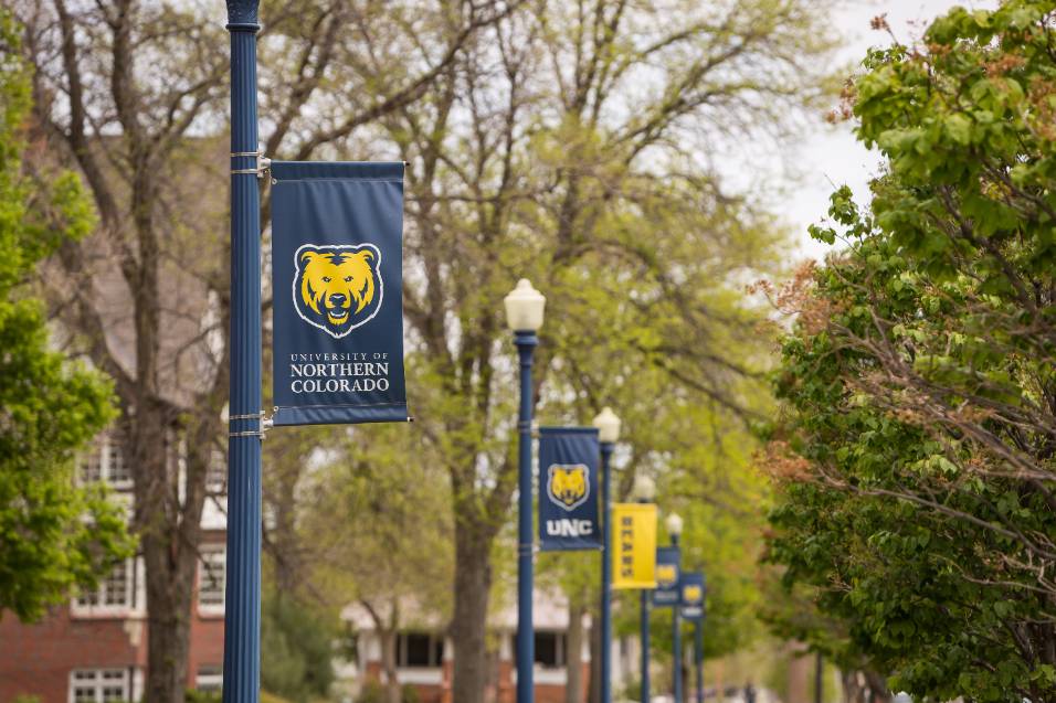 International Partnerships image