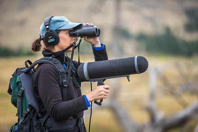 Lauryn Bendict, Ph.D. at Bobcat Ridge