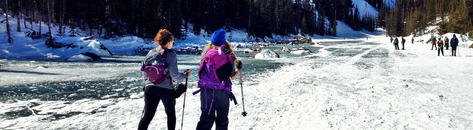 Cross Country Skiing